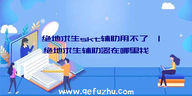 「绝地求生skt辅助用不了」|绝地求生辅助器在哪里找